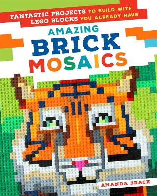 Book cover for Amazing Brick Mosaics