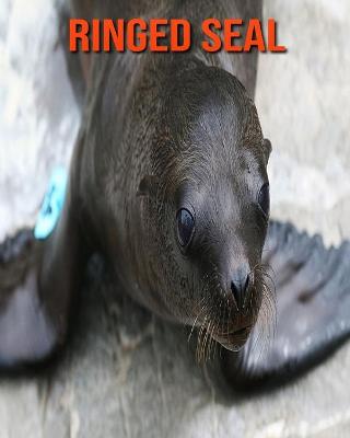 Book cover for Ringed Seal