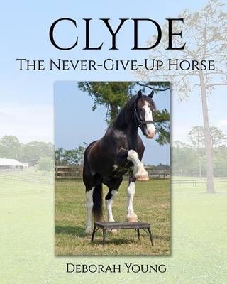 Book cover for Clyde