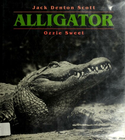 Book cover for Alligator