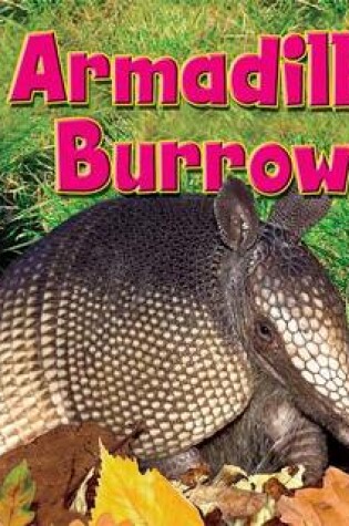 Cover of Armadillo S Burrow