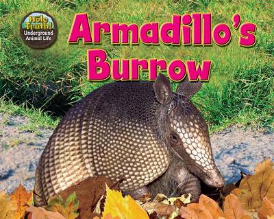 Cover of Armadillo S Burrow