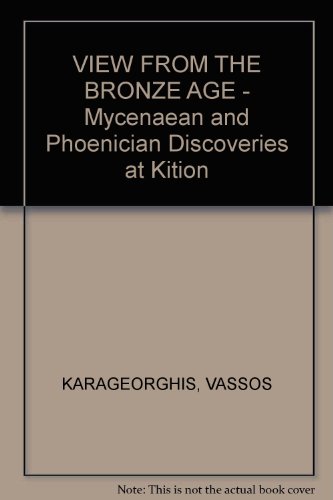 Book cover for View from the Bronze Age