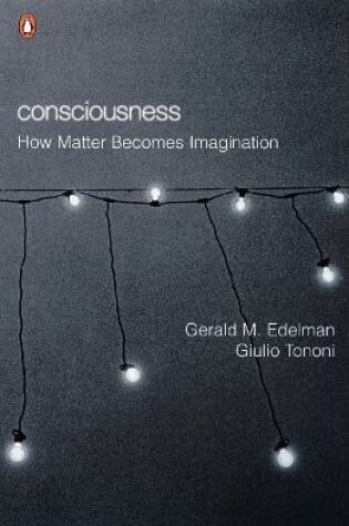 Cover of Consciousness