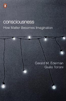 Book cover for Consciousness