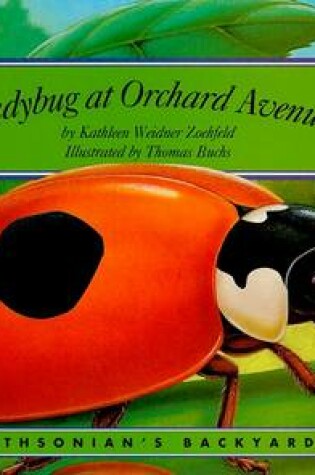 Cover of Ladybug at Orchard Avenue
