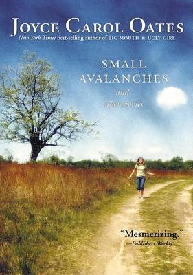 Cover of Small Avalanches and Other Stories