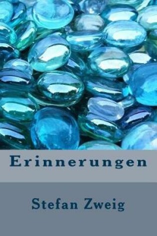 Cover of Erinnerungen