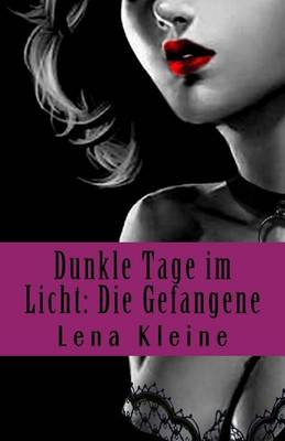 Book cover for Dunkle Tage im Licht