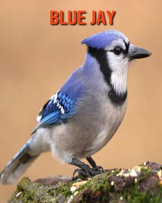 Book cover for Blue Jay