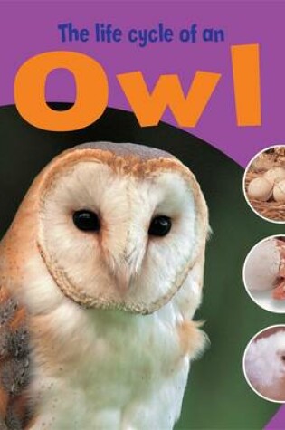 Cover of The Life Cycle of an Owl