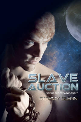 Book cover for Slave Auction