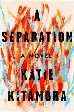 Cover of A Separation