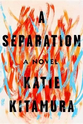 Book cover for A Separation