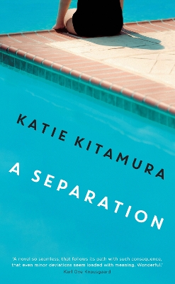 Book cover for A Separation