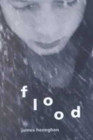 Cover of Flood