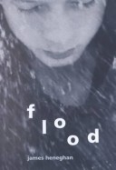 Book cover for Flood