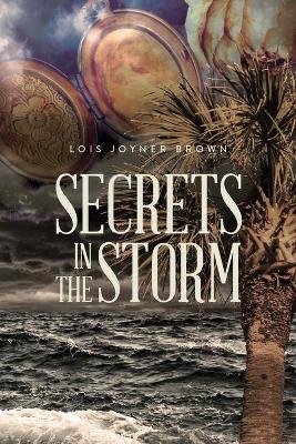 Book cover for Secrets in the Storm