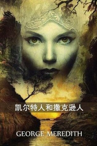 Cover of 凯尔特人和撒克逊人