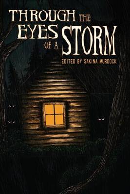 Book cover for Through the Eyes of a Storm