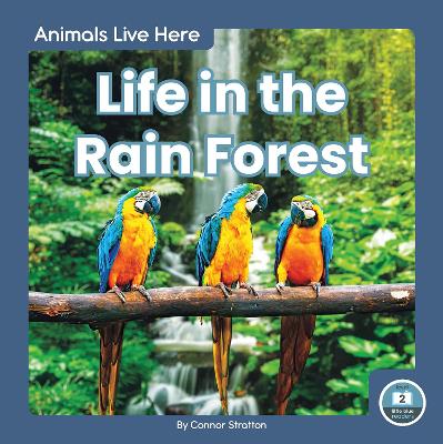 Book cover for Animals Live Here: Life in the Rain Forest