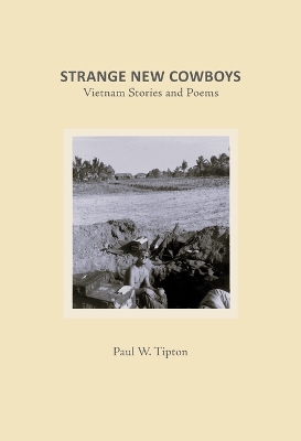 Book cover for Strange New Cowboys