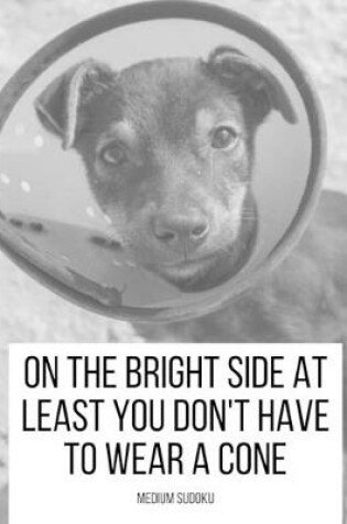 Cover of On The Bright Side At Least You Don't Have To Wear A Cone