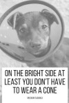 Book cover for On The Bright Side At Least You Don't Have To Wear A Cone