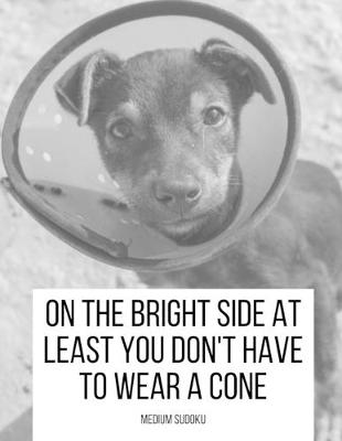 Book cover for On The Bright Side At Least You Don't Have To Wear A Cone