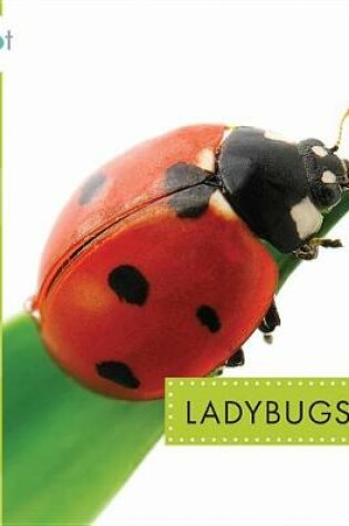 Cover of Ladybugs