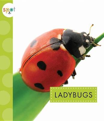 Cover of Ladybugs