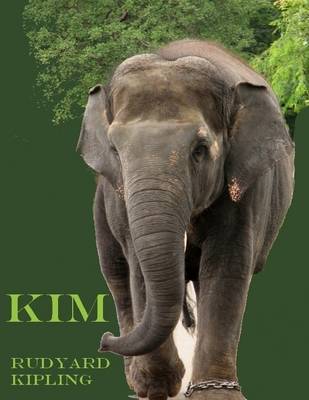 Book cover for Kim (Illustrated)