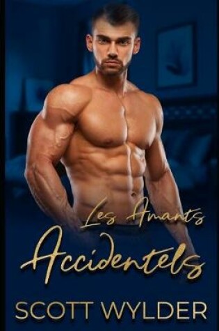 Cover of Les Amants accidentels