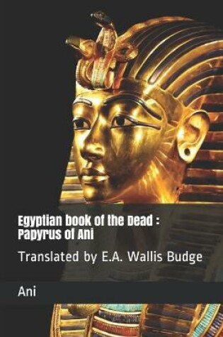 Cover of Egyptian book of the Dead