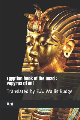 Book cover for Egyptian book of the Dead