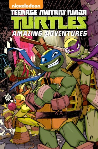 Cover of Teenage Mutant Ninja Turtles: Amazing Adventures Volume 4
