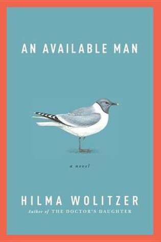 Cover of Available Man, An: A Novel