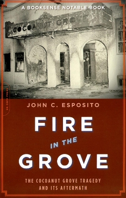 Book cover for Fire in the Grove