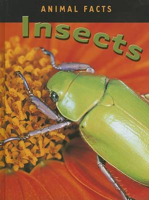 Book cover for Insects