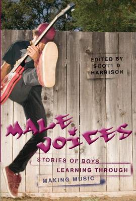 Book cover for Male Voices