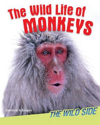 Cover of The Wild Life of Monkeys