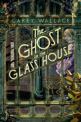 Book cover for The Ghost in the Glass House
