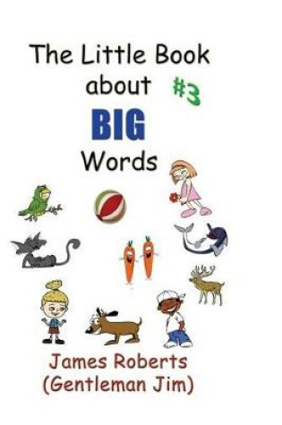 Cover of The Little Book about Big Words #3