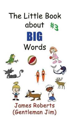 Cover of The Little Book about Big Words #3