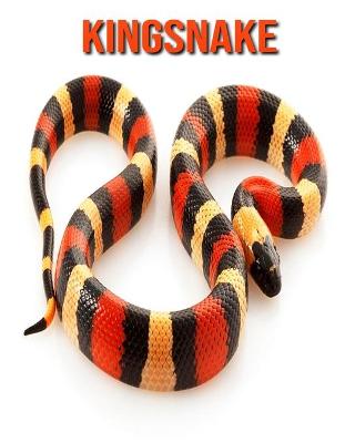 Book cover for Kingsnake