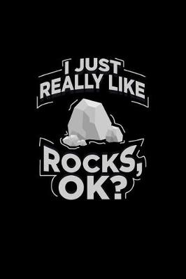 Book cover for I Just Really Like Rocks, Ok?