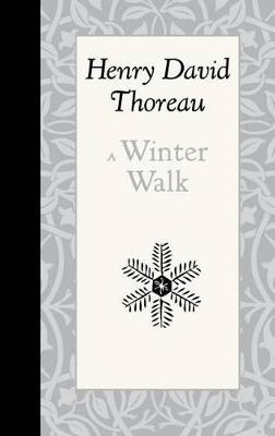 Book cover for A Winter Walk