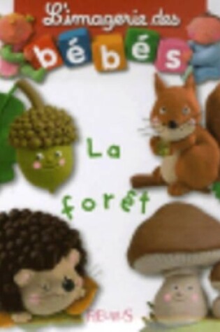 Cover of Imagerie DES Bebes