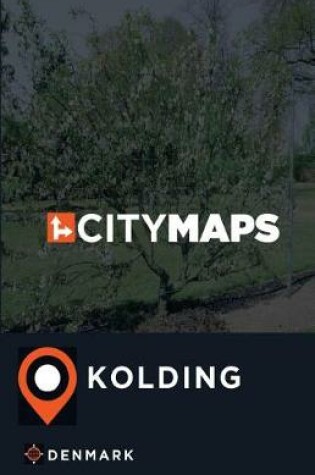 Cover of City Maps Kolding Denmark