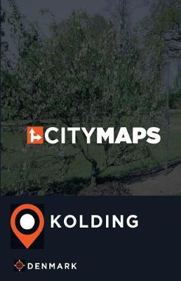 Book cover for City Maps Kolding Denmark